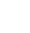 Vector